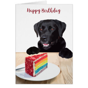 grattis på födelsedagen Black Labrador Retriever - Hälsningskort