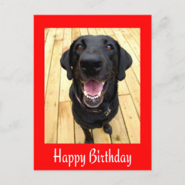 Grattis på födelsedagen Black Labrador Retriever-p Vykort