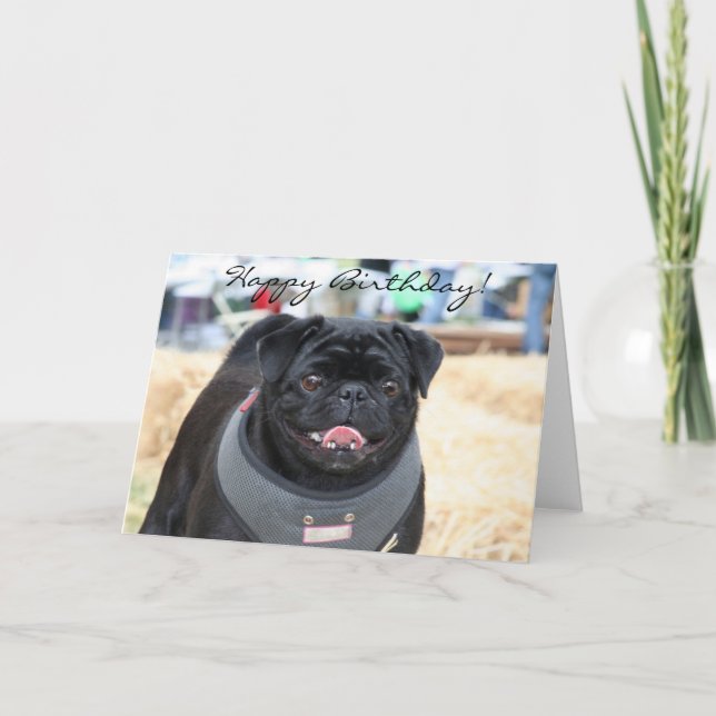 Grattis på födelsedagen Black Pug-hälsningskort Kort (Framsida)