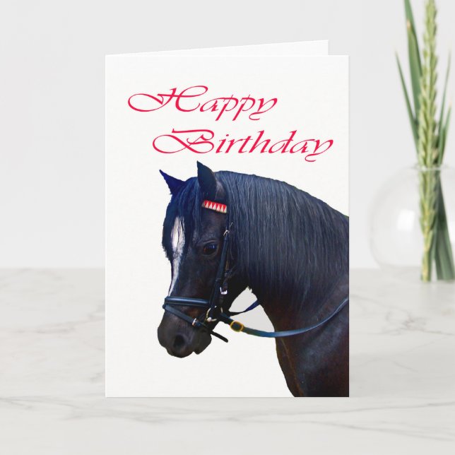Grattis på födelsedagen, Black Welsh Pony. Kort (Framsida)