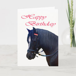 Grattis på födelsedagen, Black Welsh Pony. Kort