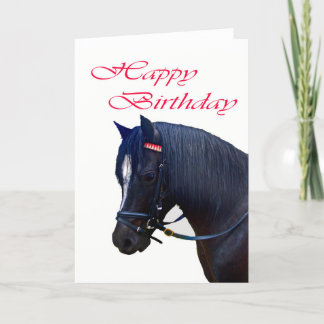 Grattis på födelsedagen, Black Welsh Pony. Kort
