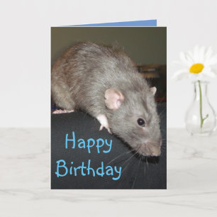 Grattis på födelsedagen! Blått råtta-kort Kort