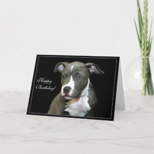 Grattis på födelsedagen Blue Pitbull Puppy-hälsnin Kort