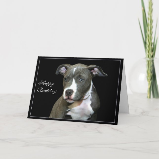 Grattis på födelsedagen Blue Pitbull Puppy-hälsnin Kort (Framsida)