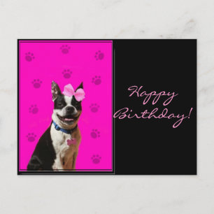 Grattis på födelsedagen Boston Terrier-vykort Vykort