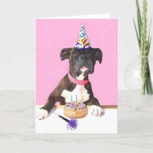 Grattis på födelsedagen Boxer hund-hälsningskort Kort
