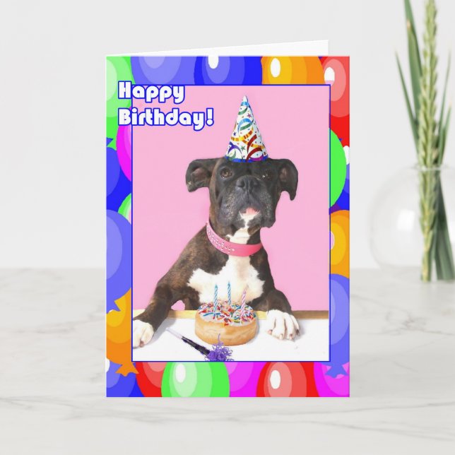 Grattis på födelsedagen Boxer hund-hälsningskort Kort (Framsida)