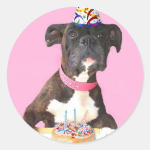Grattis på födelsedagen Boxer hund-klistermärken Runt Klistermärke