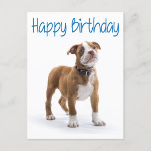 Grattis på födelsedagen Boxer Puppy Hund Postard Vykort