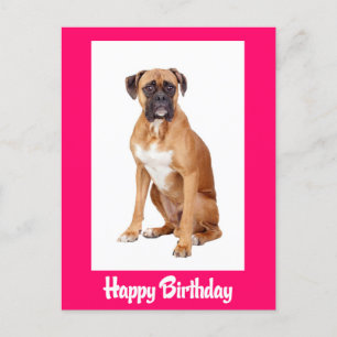 Grattis på födelsedagen Boxer Puppy Hund vykort