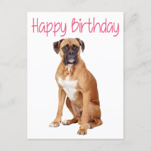 Grattis på födelsedagen Boxer Puppy Hund vykort