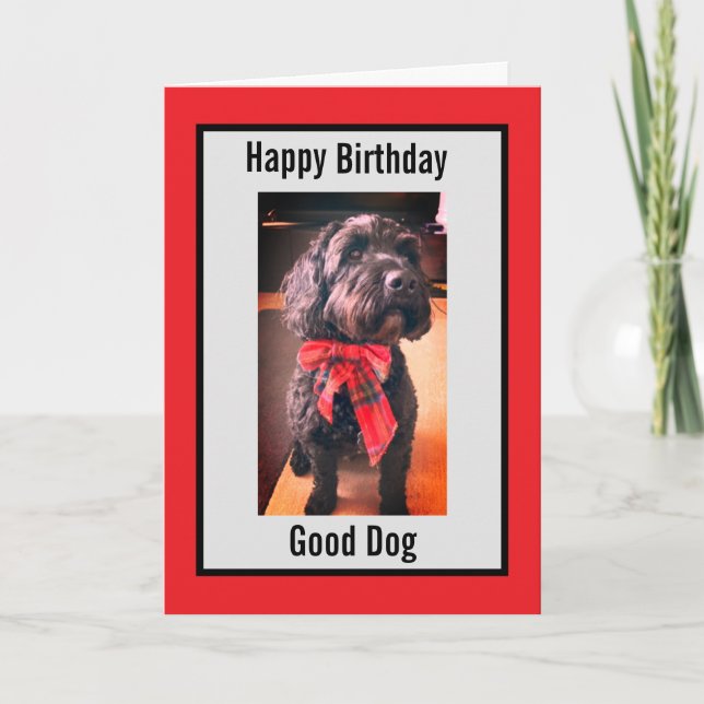 Grattis på födelsedagen bra hund-kort helgkort (Framsida)