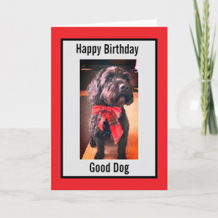 Grattis på födelsedagen bra hund-kort helgkort