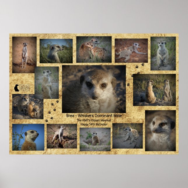 Grattis på födelsedagen Brea Poster (Framsidan)