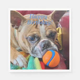 Grattis på födelsedagen Brindle Boston Terrier Pappersservett