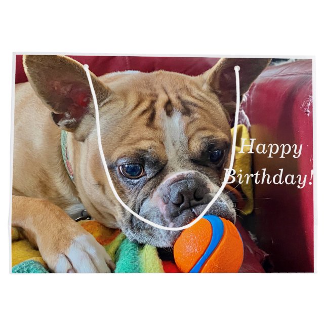 Grattis på födelsedagen Brindle Bostyon Terrier (Baksidan)