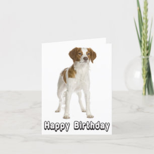 Grattis på födelsedagen Brittany Spain Puppy Hund Kort