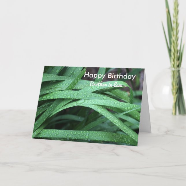 Grattis på födelsedagen bror i juridik kort (Framsida)