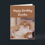 grattis på födelsedagen Brother Celebrate Funny Ca Kort<br><div class="desc">grattis på födelsedagen Brother firar hur du vill med en söt,  avslappnande födelsedag för djur,  hälsning för att anpassa dig</div>