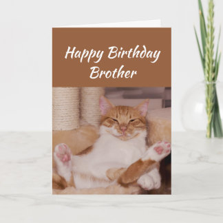 Grattis på födelsedagen Brother Celebrate Funny Ca Kort