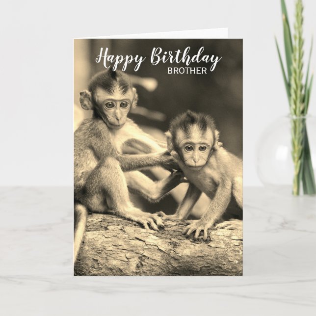 Grattis på födelsedagen Brother Cute Monkey Birthd Kort (Framsida)