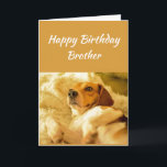 grattis på födelsedagen Brother Funny Animals Kort<br><div class="desc">grattis på födelsedagen Brother Hund chockade tittar eller surprickade fina djur.  Vänskapens Roligt och    skratt... </div>