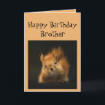 Grattis på födelsedagen Brother Funny Go Nöt! Kort<br><div class="desc">Lustigt födelsedagskort för din bror Go Nöt!</div>