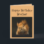 Grattis på födelsedagen Brother Funny Go Nöt! Kort<br><div class="desc">Lustigt födelsedagskort för din bror Go Nöt!</div>