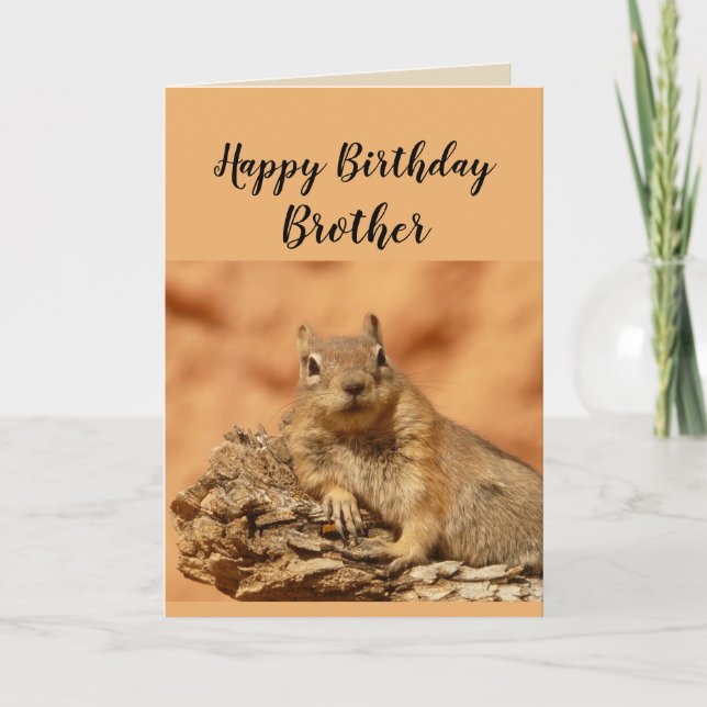 Grattis på födelsedagen Brother Funny Squirrel Hum Kort (Framsida)