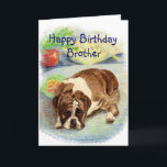 Grattis på födelsedagen Brother Get Exced Humor Bo Kort<br><div class="desc">Har en bror som kärlek boxare,  hundar eller känner sig blå över sin ålder? De är inte särskilt glada över sin födelsedag. Den här ledsen tittar Boxer hund... </div>