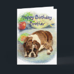 Grattis på födelsedagen Brother Get Exced Humor Bo Kort<br><div class="desc">Har en bror som kärlek boxare,  hundar eller känner sig blå över sin ålder? De är inte särskilt glada över sin födelsedag. Den här ledsen tittar Boxer hund... </div>