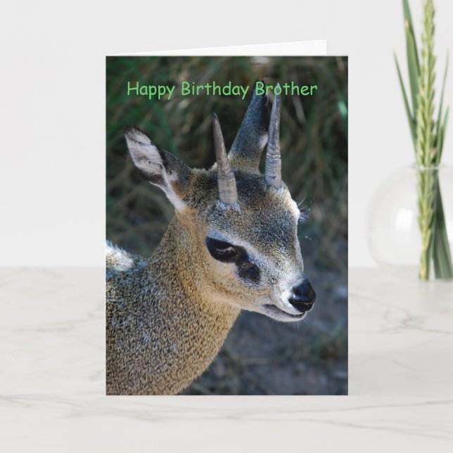 Grattis på födelsedagen Brother Kort (Framsida)