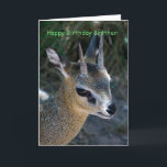 grattis på födelsedagen Brother Kort<br><div class="desc">Grattis på födelsedagen bror, älskad, omtänksam</div>