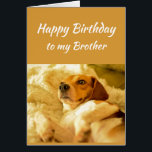 Grattis på födelsedagen Brother Real Age Humor Rol Hälsningskort<br><div class="desc">Grattis på födelsedagen Brother Friend Funny Animals. Kom ihåg att jag vet din riktiga ålder med söt chockad tittar hund</div>