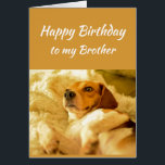 Grattis på födelsedagen Brother Real Age Humor Rol Hälsningskort<br><div class="desc">Grattis på födelsedagen Brother Friend Funny Animals. Kom ihåg att jag vet din riktiga ålder med söt chockad tittar hund</div>