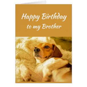 Grattis på födelsedagen Brother Real Age Humor Rol Hälsningskort