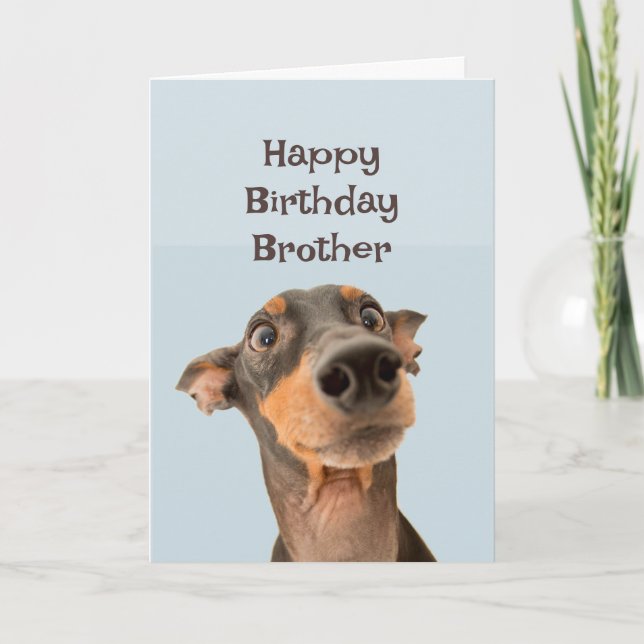 Grattis på födelsedagen Brother Rolig hund Humor Kort (Framsida)