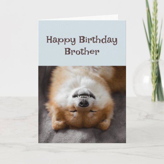 Grattis på födelsedagen Brother Rolig hund Party-t Kort (Framsida)