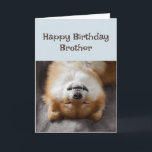 Grattis på födelsedagen Brother Rolig hund Party-t Kort<br><div class="desc">Grattis på födelsedagen Brother Rolig hund Party-tid!</div>