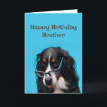 Grattis på födelsedagen Brother Rolig hund Party-t Kort<br><div class="desc">Rolig hund Party-tid för kolliebrodern mellan grattis på födelsedagen och Gräns!</div>