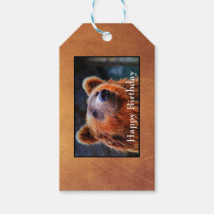 Grattis på födelsedagen Brown Bear Porträtt Wildli Presentetikett