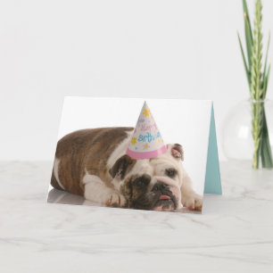 Grattis på födelsedagen Bull Dog Card Kort