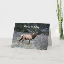 Grattis på födelsedagen, Bull Elk Bugling Kort