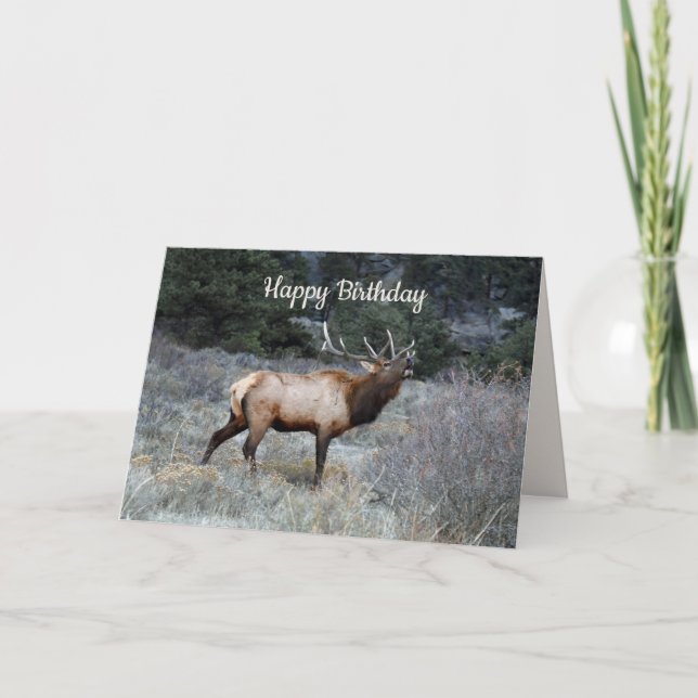 Grattis på födelsedagen, Bull Elk Bugling Kort (Framsida)