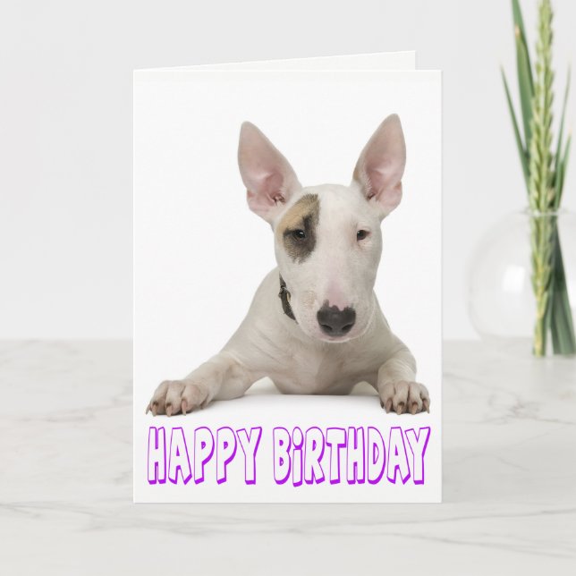 Grattis på födelsedagen Bull Terrier Puppy Hund Kort (Framsida)