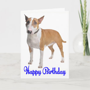Grattis på födelsedagen Bull Terrier Puppy Hund Kort
