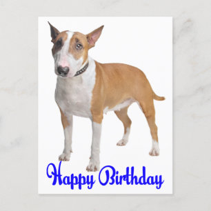 Grattis på födelsedagen Bull Terrier Puppy Hund Vykort
