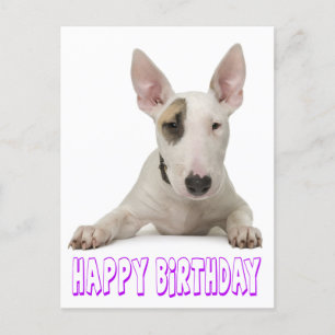 Grattis på födelsedagen Bull Terrier Puppy Hund Vykort
