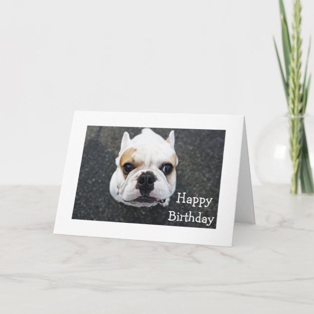 Grattis på födelsedagen Bulldog Greeting Card - Ve Kort (Framsida)